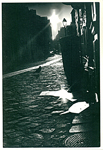 http://enfanceart.free.fr/bavella_paris_ville_lumiere_vignette.jpg